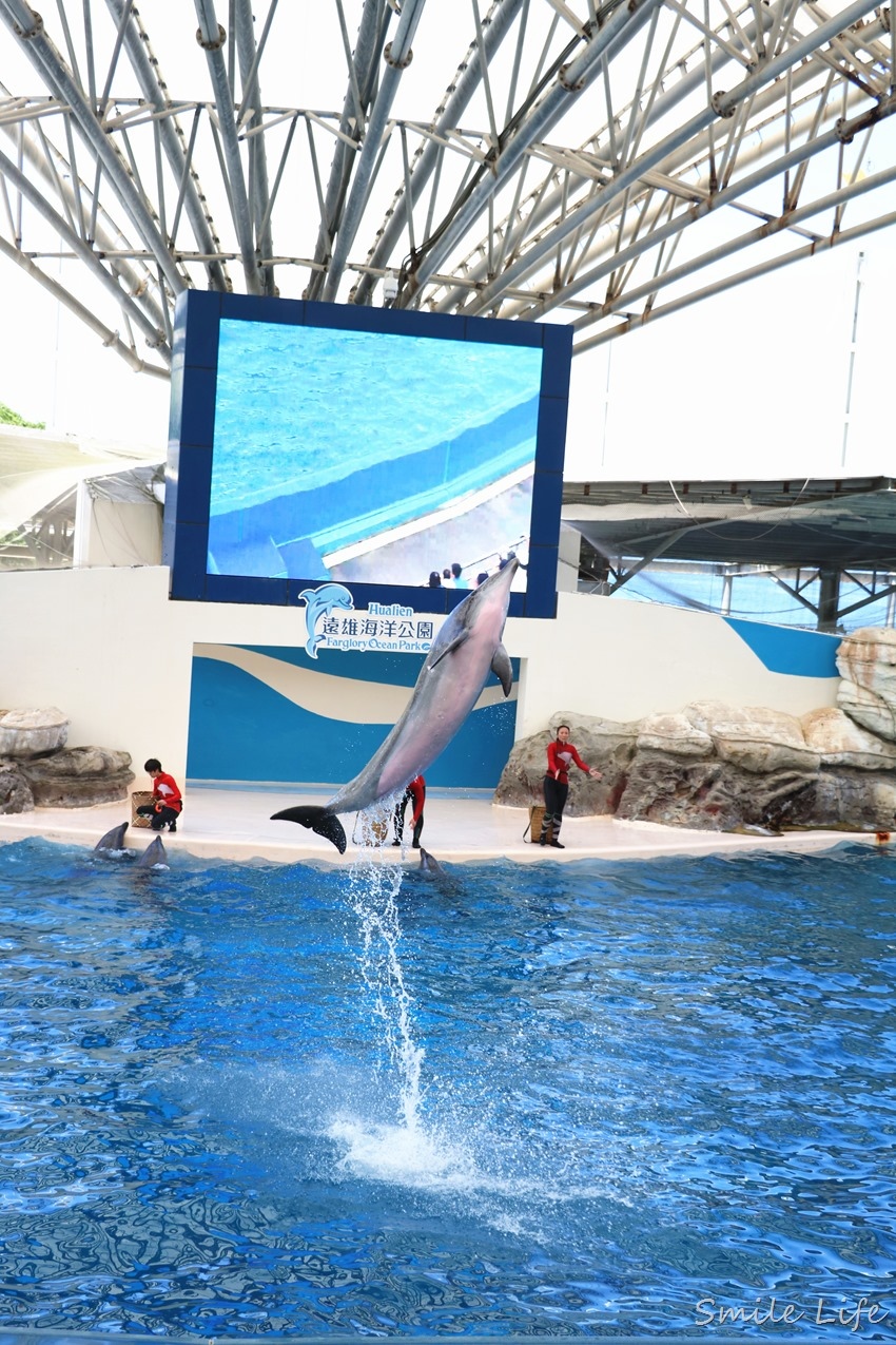 ▌花蓮景點▌暑假親子必訪「遠雄海洋公園」奇幻冒險 海盜水花派對