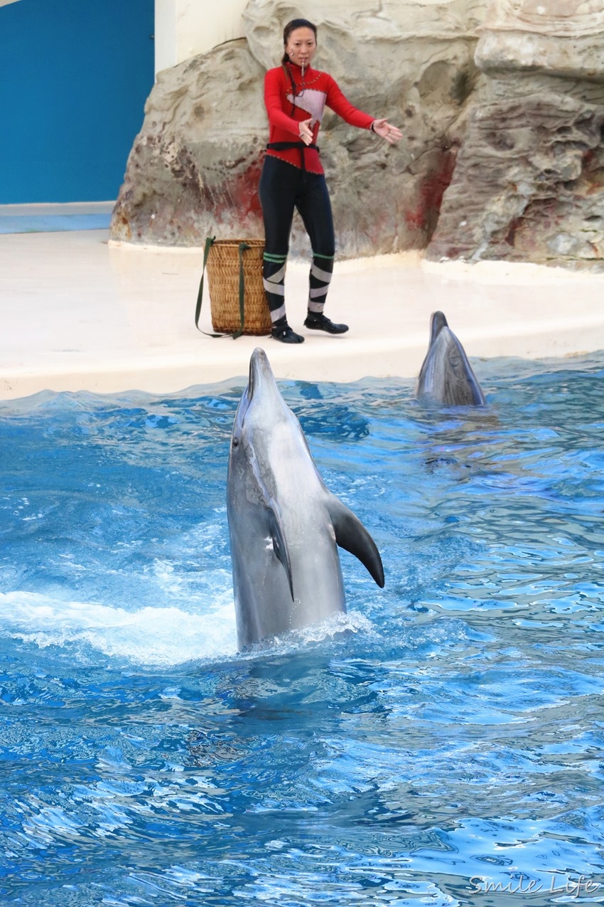 ▌花蓮景點▌暑假親子必訪「遠雄海洋公園」奇幻冒險 海盜水花派對