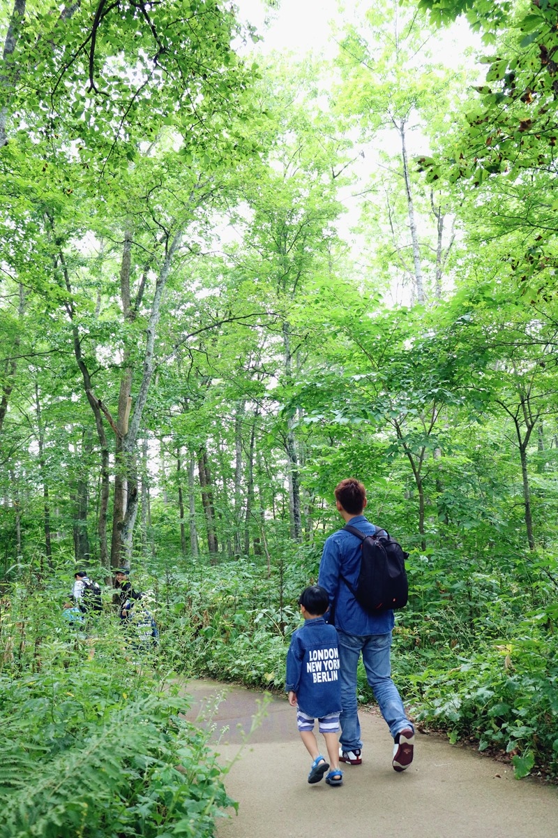 ▌北海道親子旅行5天4夜▌ Day2。療癒系森林「十勝千年之森」