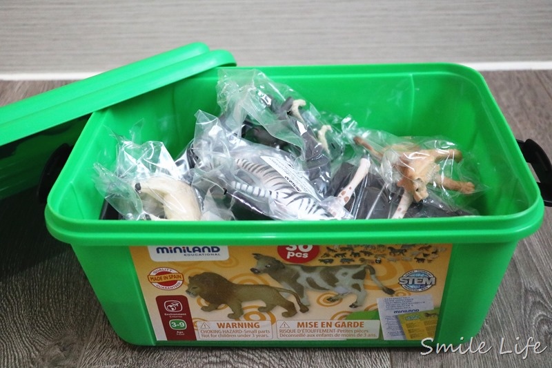 IMG_7766 IMG_7766