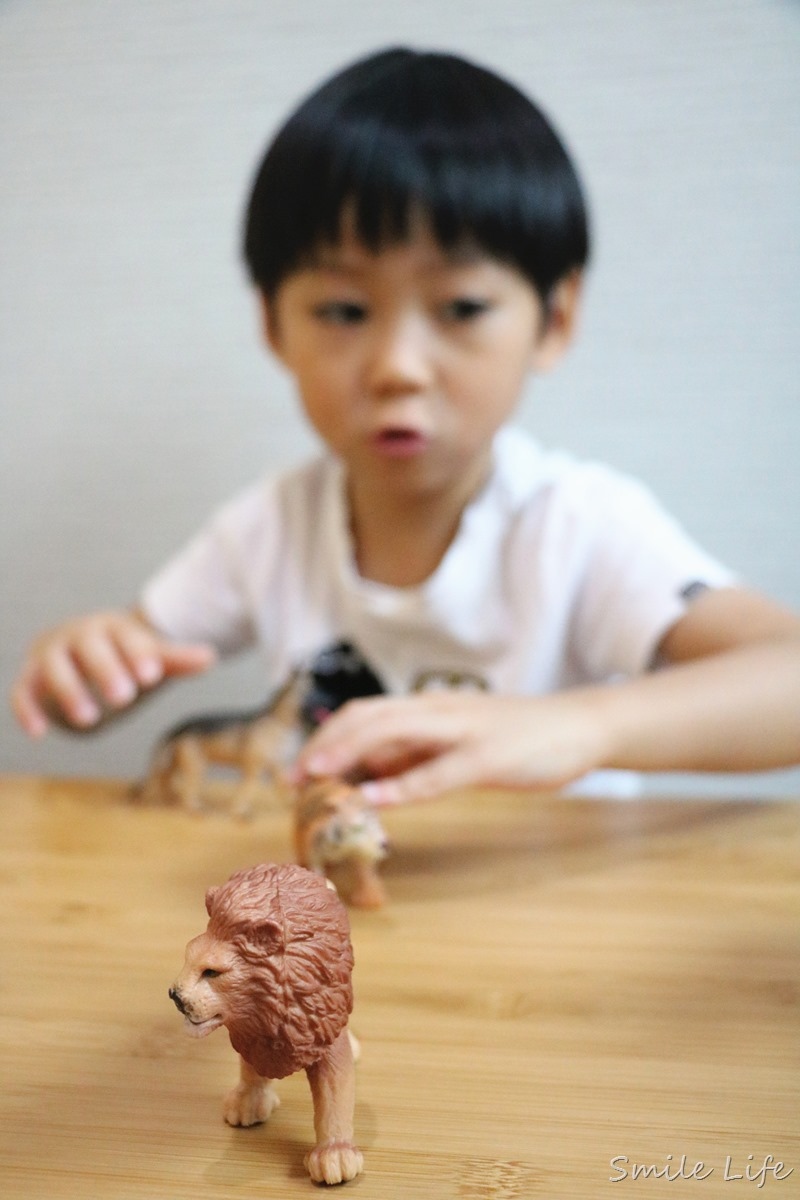 IMG_7825 IMG_7825