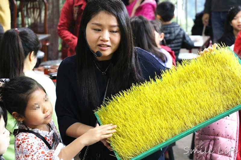 ▌親子景點▌石碇柴燒香瀰漫「竹柏苑古早味麥芽膏」。美味麥芽烤鴨三吃、親子麥芽糖DIY