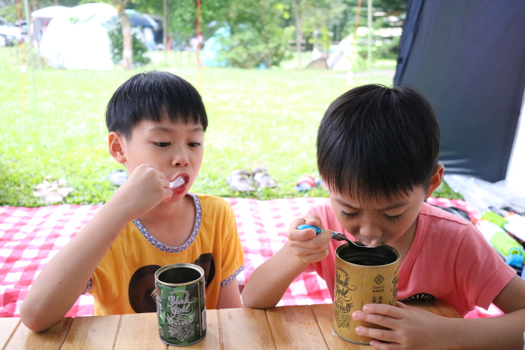 ▌凍齡美顏茶飲▌Wild Cape野角南非國寶茶。零熱量、無