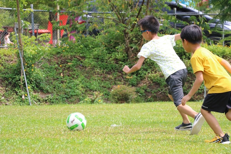 兒童機能軟糖推薦【ACE Super kids機能Q】添加維他命D、DHA、益生菌、綜合維他命…素食朋友也能吃,還有牙博士固齒棒棒糖哦 兒童機能軟糖推薦【ACE Super kids機能Q】添加維他命D、DHA、益生菌、綜合維他命…素食朋友也能吃,還有牙博士固齒棒棒糖哦