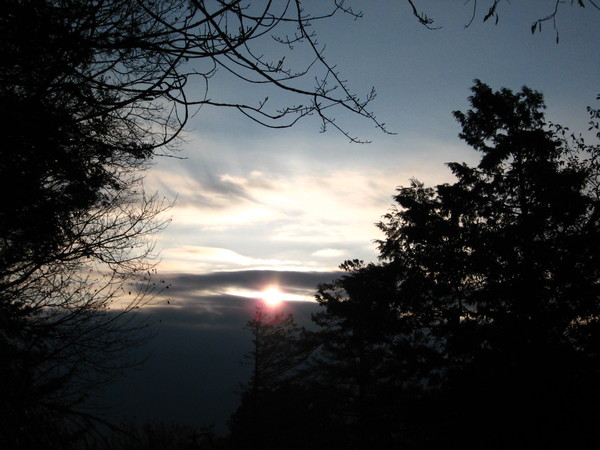 阿里山日出