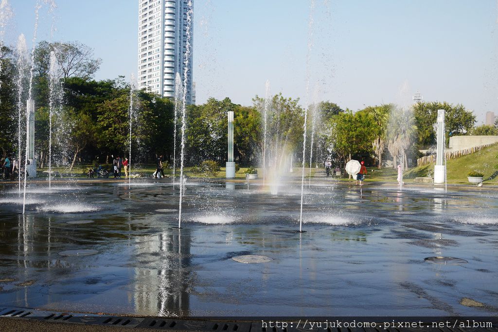 P1030992 P1030992