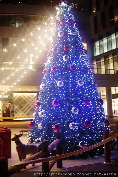 P1050166 P1050166