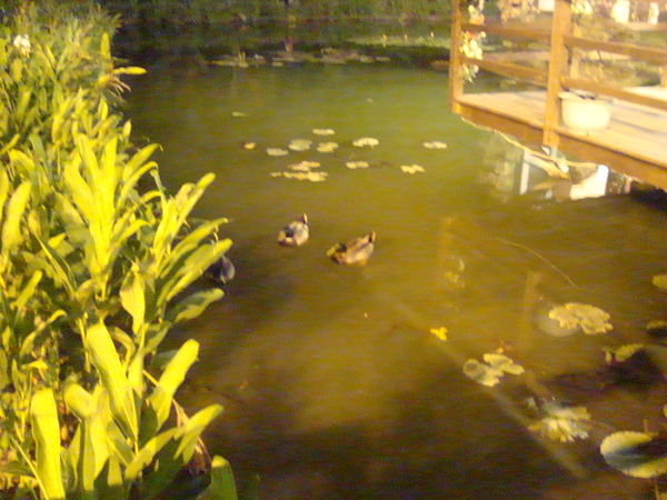 DSC01845.JPG