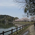 2009sakura 058.jpg