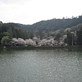 2009sakura 059.jpg