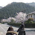 2009sakura 071.jpg