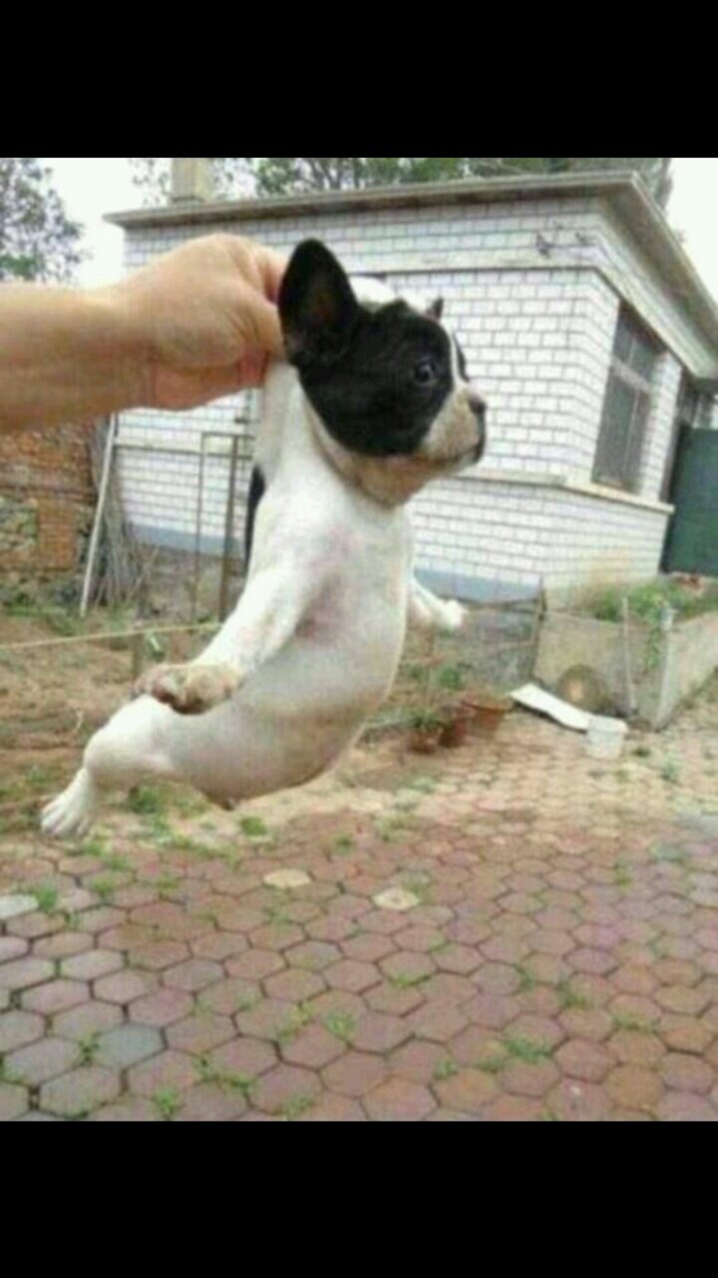 130731 天地 twitter 更新