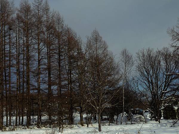P1100359@.jpg