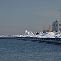 P1100531.JPG
