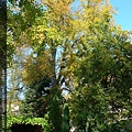 P1060824.JPG