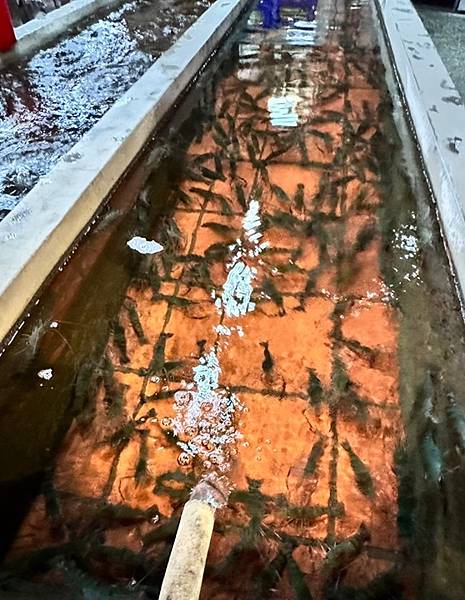 竹北餐廳-新竹黃金海岸活蝦之家 竹北餐廳-新竹黃金海岸活蝦之家