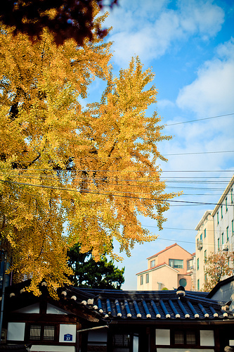 韓國首爾 KOREA Seoul 三清洞 北村八景