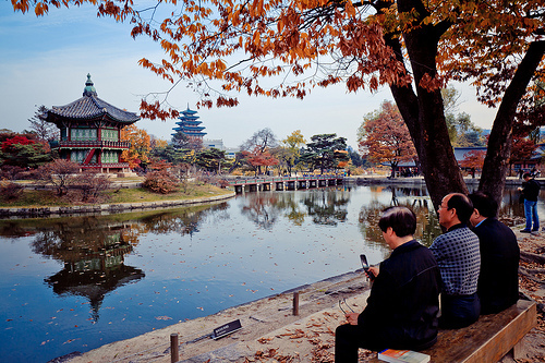 韓國首爾 KOREA Seoul 景福宮 仁寺洞 狎鷗亭 新堂洞