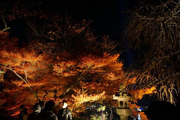 京都清水寺