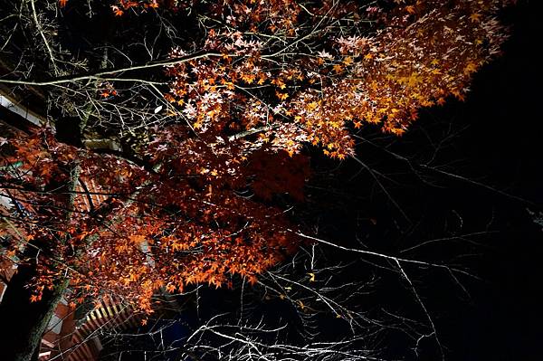 京都清水寺