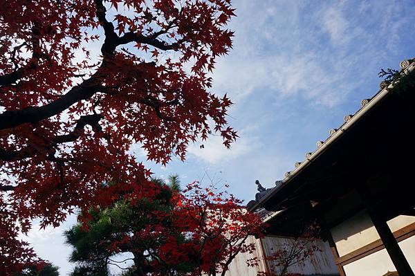 京都東福寺