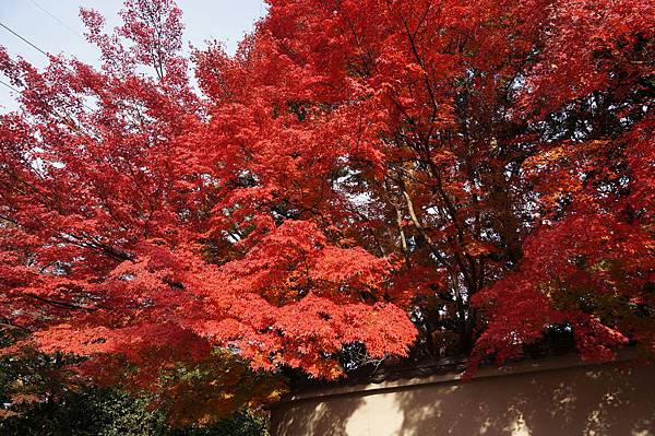 京都東福寺