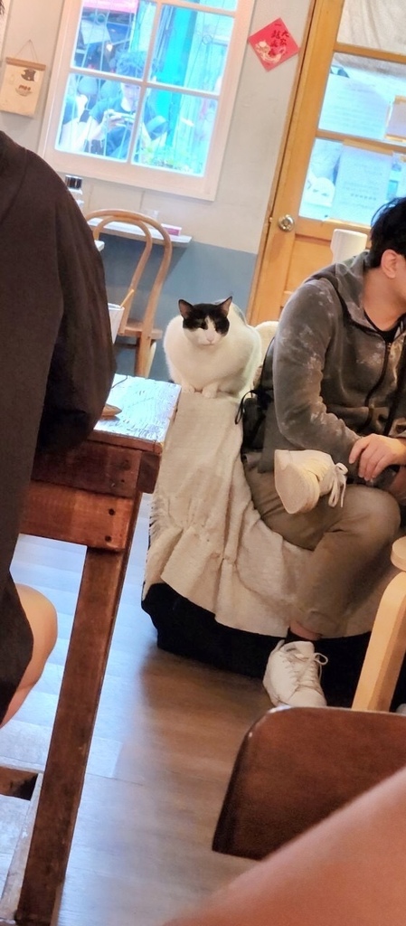 【中山區行天宮】疍宅(蛋宅)必吃甜點戚風蛋糕。貓奴最愛老宅咖 【中山區行天宮】疍宅(蛋宅)必吃甜點戚風蛋糕。貓奴最愛老宅咖