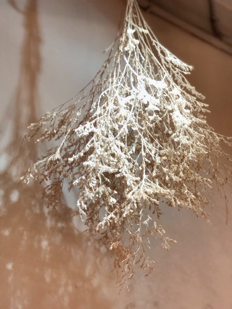 【中山區行天宮】疍宅(蛋宅)必吃甜點戚風蛋糕。貓奴最愛老宅咖 【中山區行天宮】疍宅(蛋宅)必吃甜點戚風蛋糕。貓奴最愛老宅咖