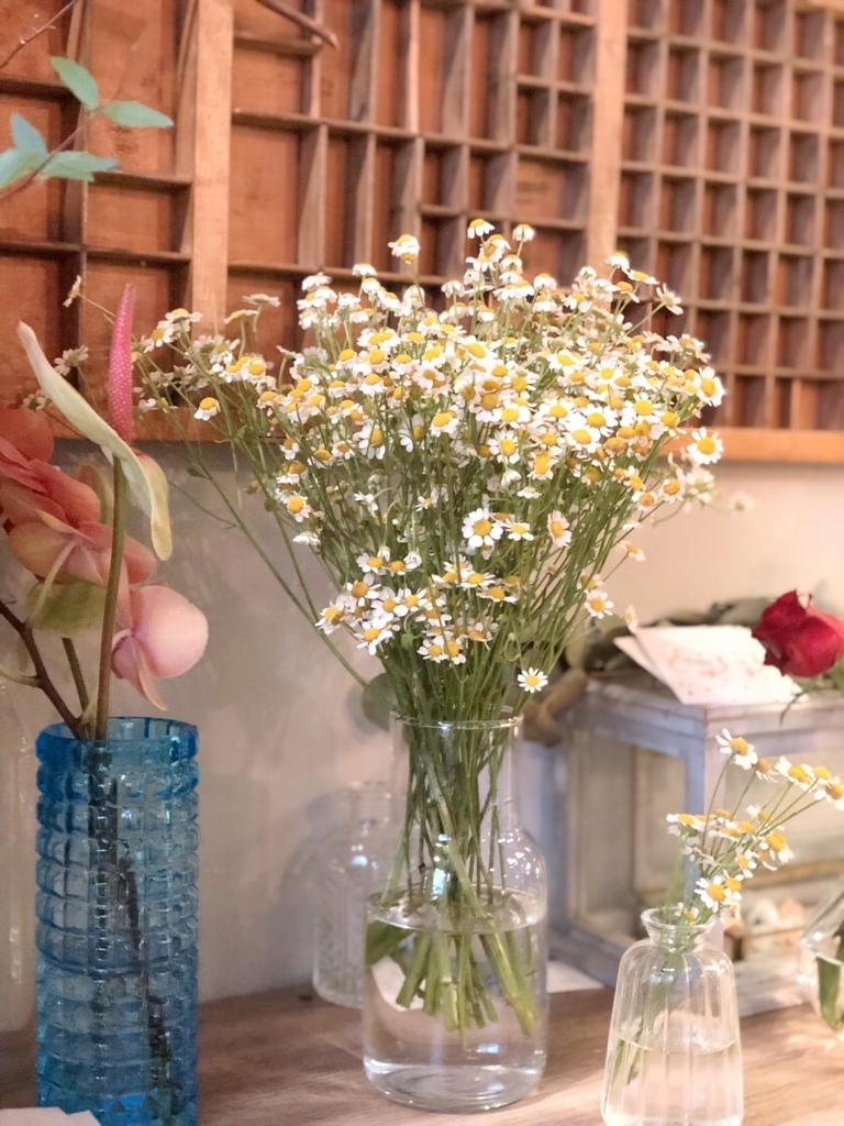 【中山區行天宮】疍宅(蛋宅)必吃甜點戚風蛋糕。貓奴最愛老宅咖 【中山區行天宮】疍宅(蛋宅)必吃甜點戚風蛋糕。貓奴最愛老宅咖