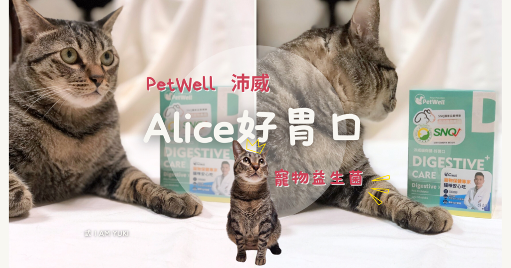 波波黛莉 (3).png 波波黛莉 (3).png