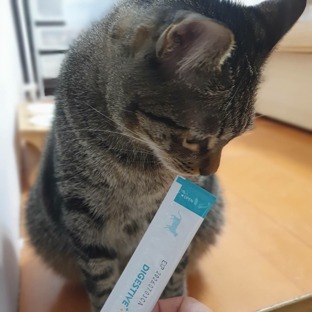 沛威。貓保健好胃口益生菌。日本專利寵物益生菌。腸胃健康好胃口 沛威。貓保健好胃口益生菌。日本專利寵物益生菌。腸胃健康好胃口