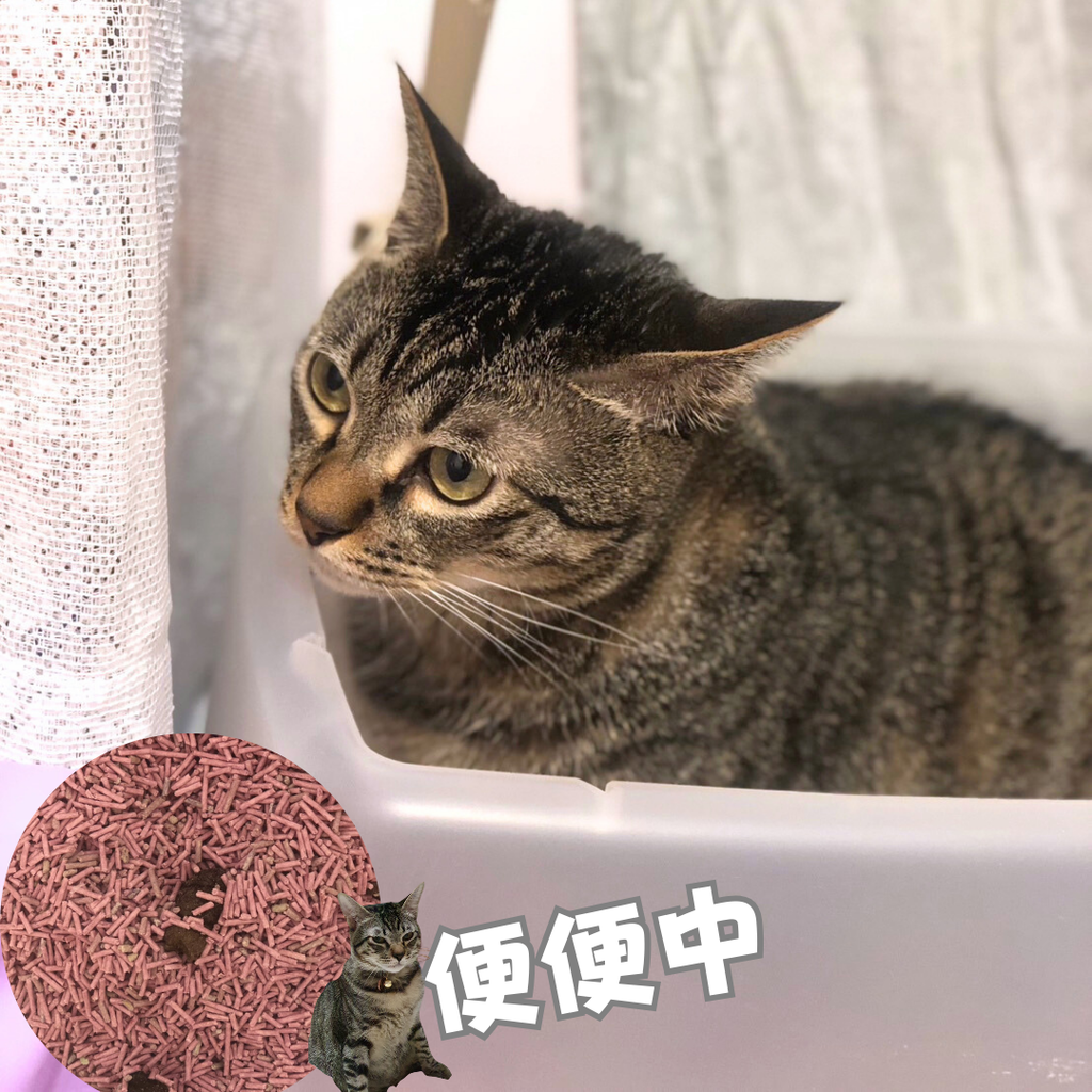 IG貼文.png IG貼文.png