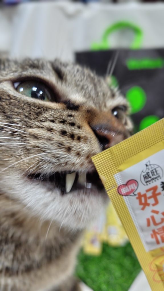 威旺WeWant。貓用好心情益生菌。市售常見益生菌實測。寵物 威旺WeWant。貓用好心情益生菌。市售常見益生菌實測。寵物