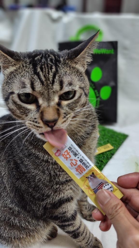 威旺WeWant。貓用好心情益生菌。市售常見益生菌實測。寵物 威旺WeWant。貓用好心情益生菌。市售常見益生菌實測。寵物