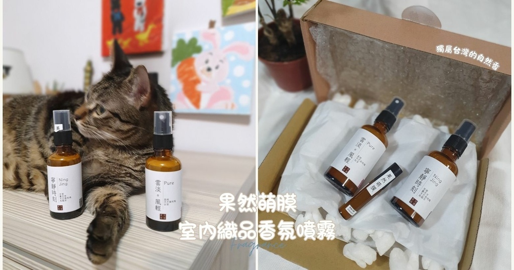 波波黛莉 (1).jpg 波波黛莉 (1).jpg