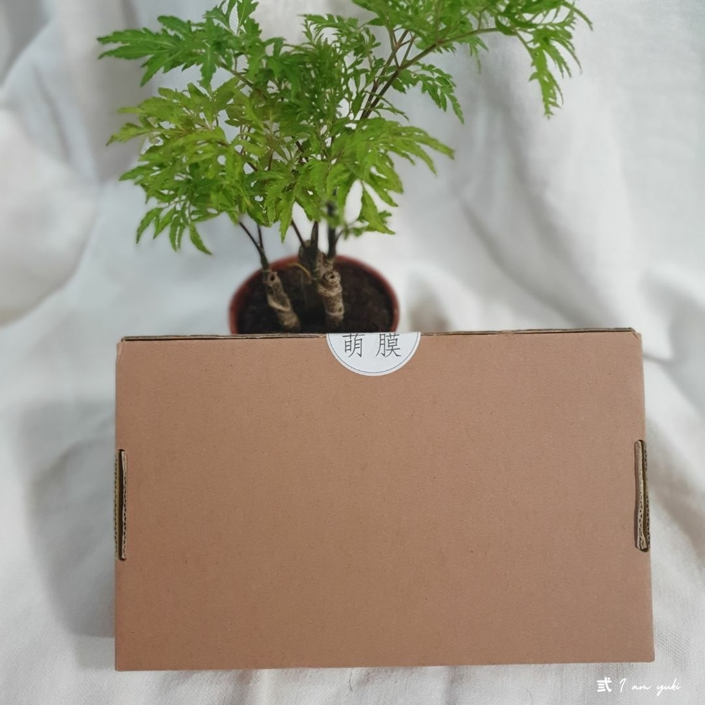 IG貼文 (12).jpg IG貼文 (12).jpg