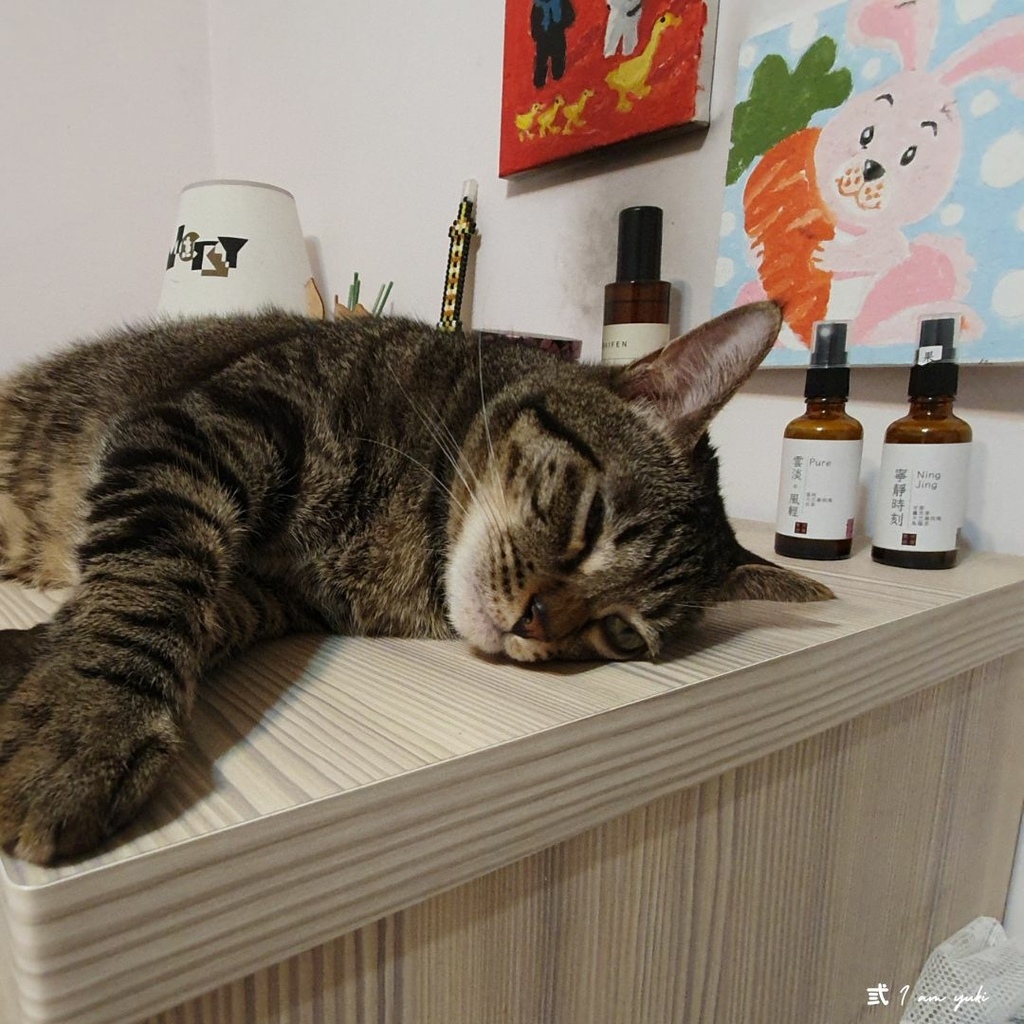 IG貼文 (16).jpg IG貼文 (16).jpg