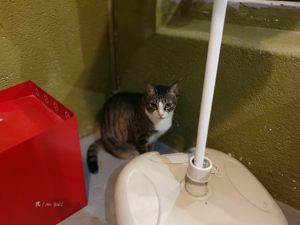 Mr.chu啾咖啡食堂 (11).jpg Mr.chu啾咖啡食堂 (11).jpg