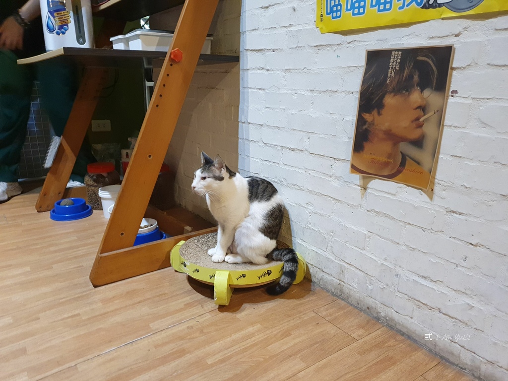 新北永和美食。Mr.chu啾咖啡食堂。五隻貓店長的營業會所。 新北永和美食。Mr.chu啾咖啡食堂。五隻貓店長的營業會所。