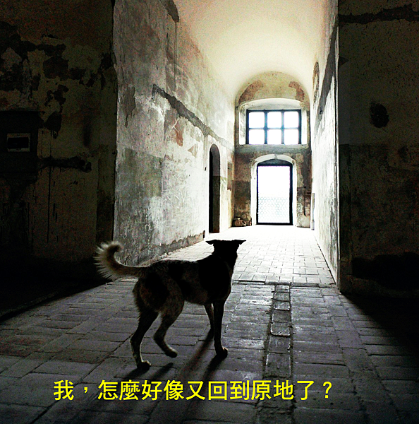 螢幕快照 2019-02-28 下午4.31.36.png 螢幕快照 2019-02-28 下午4.31.36.png