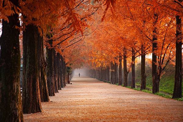 autumn-beautiful-color-2734512.jpg