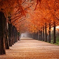 autumn-beautiful-color-2734512.jpg