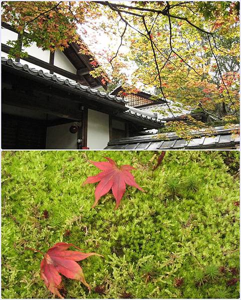 1021_02_西芳寺_01