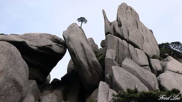 黃山千島湖杭州八天 188.jpg