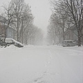 2007年，我們在多倫多的第一個冬天