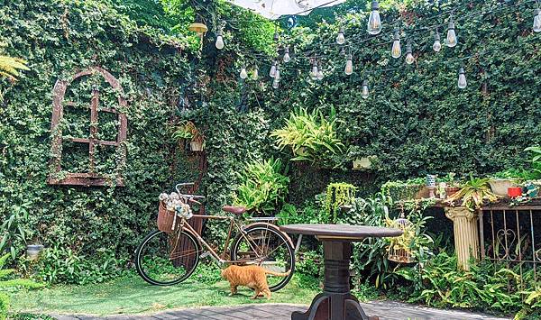 IMG_6058.JPG IMG_6058.JPG