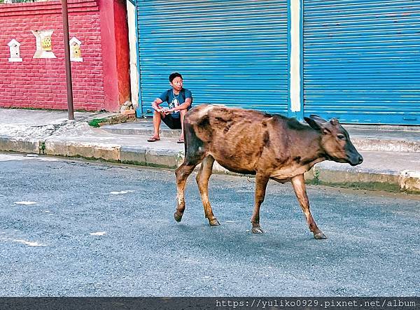 【南亞-尼泊爾旅遊(五)】波卡拉(Pokhara)