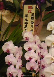 20110204_1836089.jpg