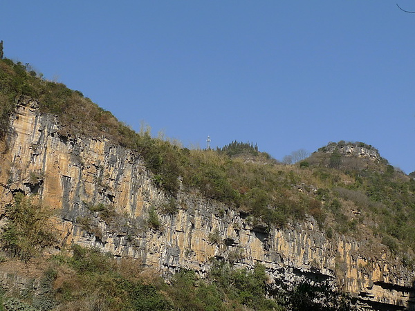 P1010261_調整大小.JPG P1010261_調整大小.JPG