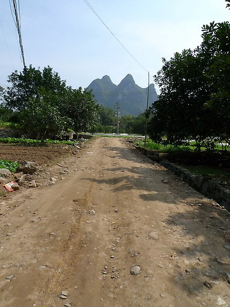 P1000563_調整大小.jpg P1000563_調整大小.jpg